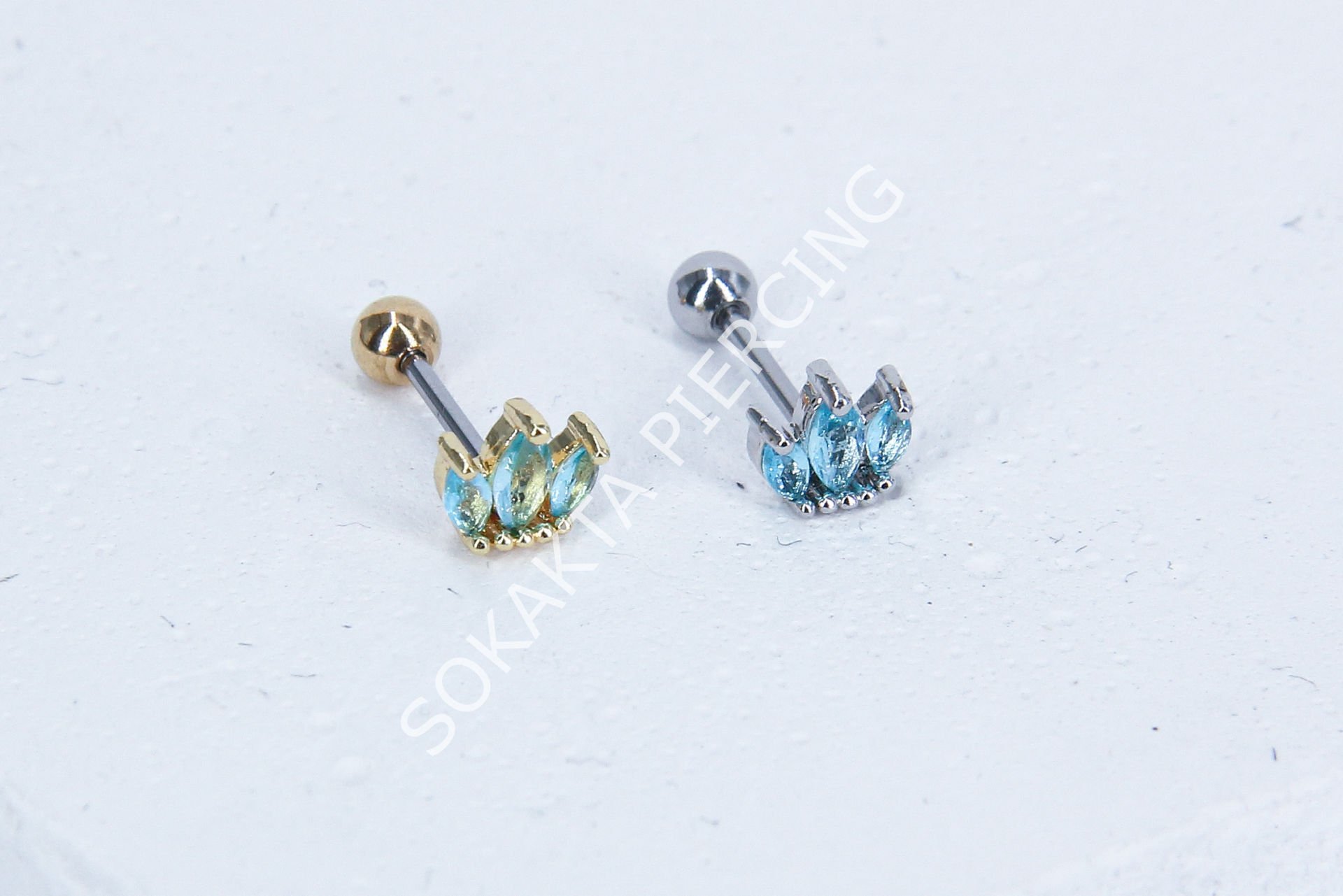 B31 - TRAGUS