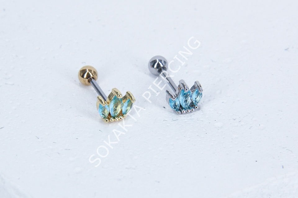 B31 - TRAGUS