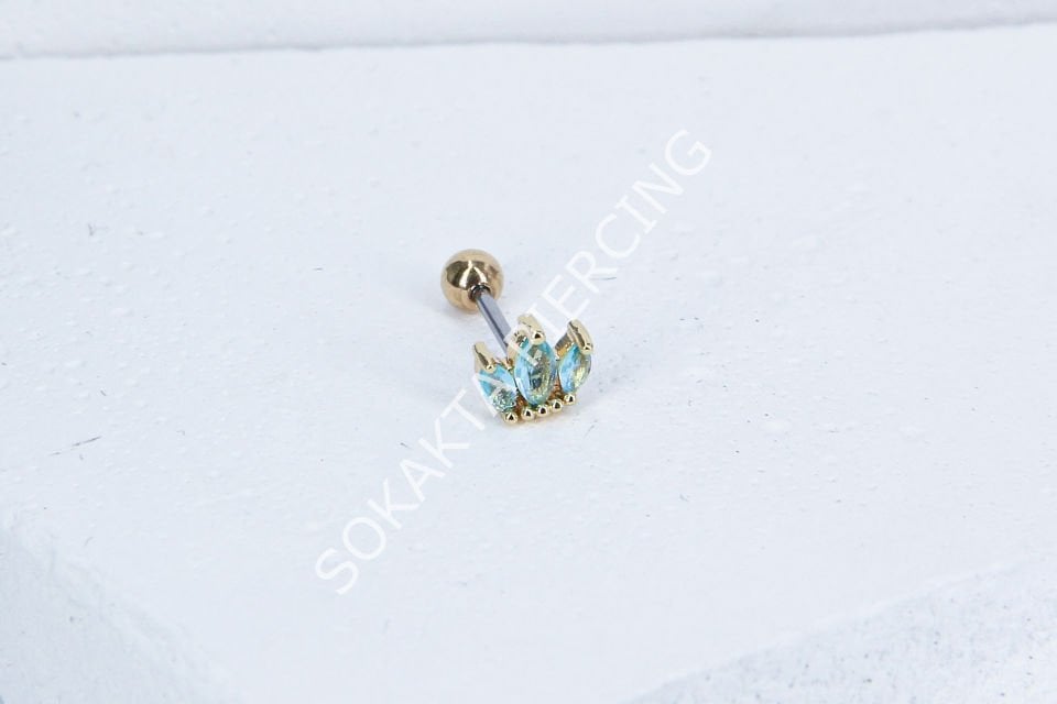 B31 - TRAGUS