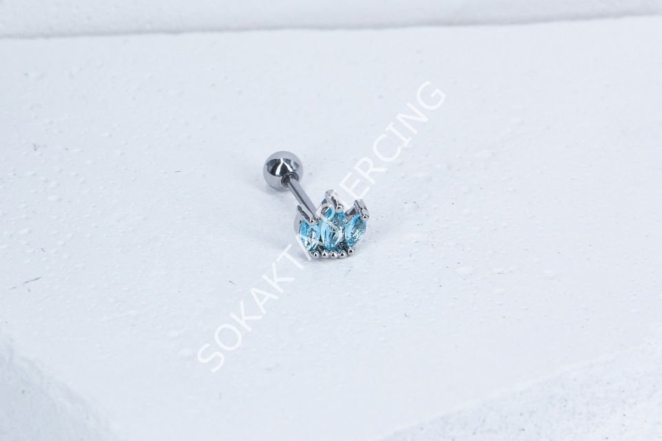 B31 - TRAGUS