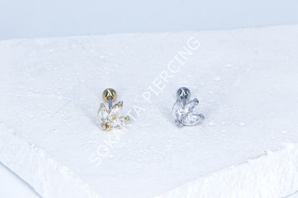 B18-  TRAGUS Silver