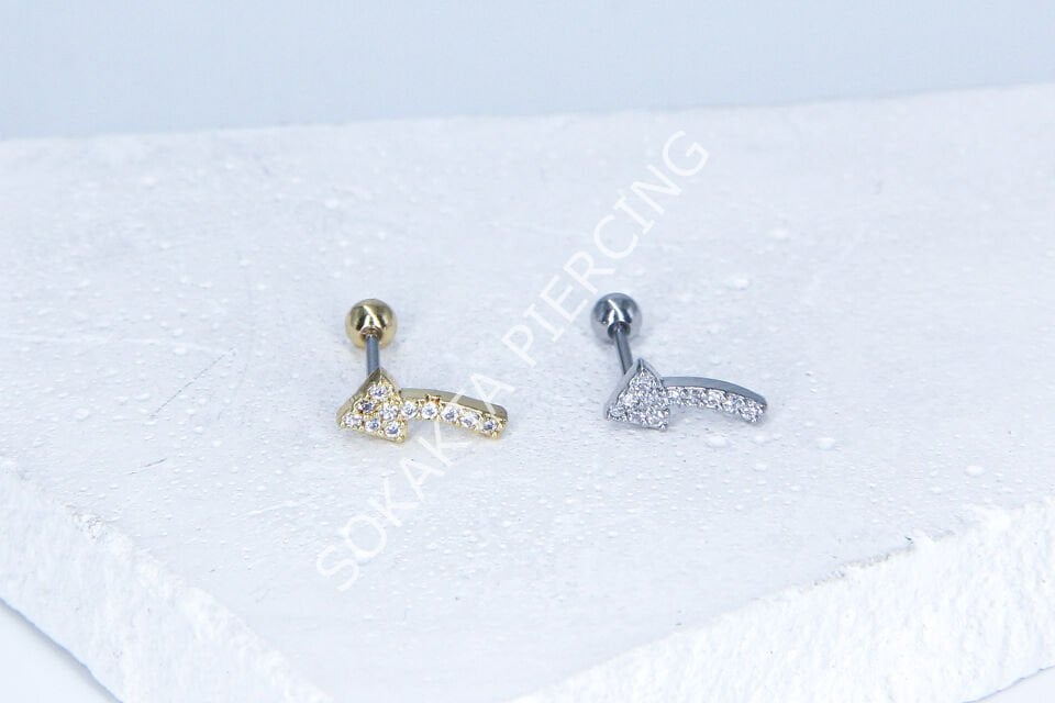 B28-  TRAGUS Silver