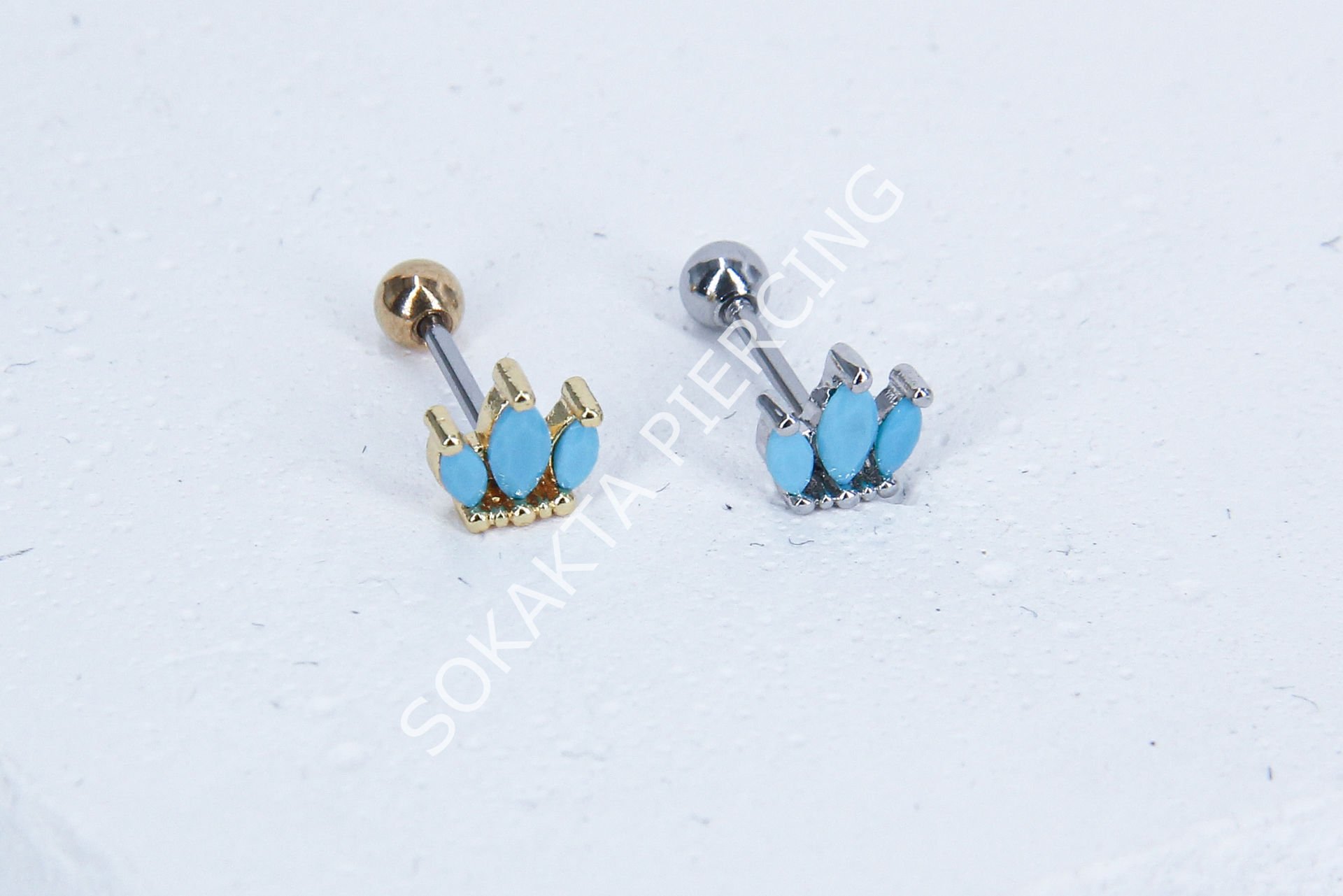B33 - TRAGUS