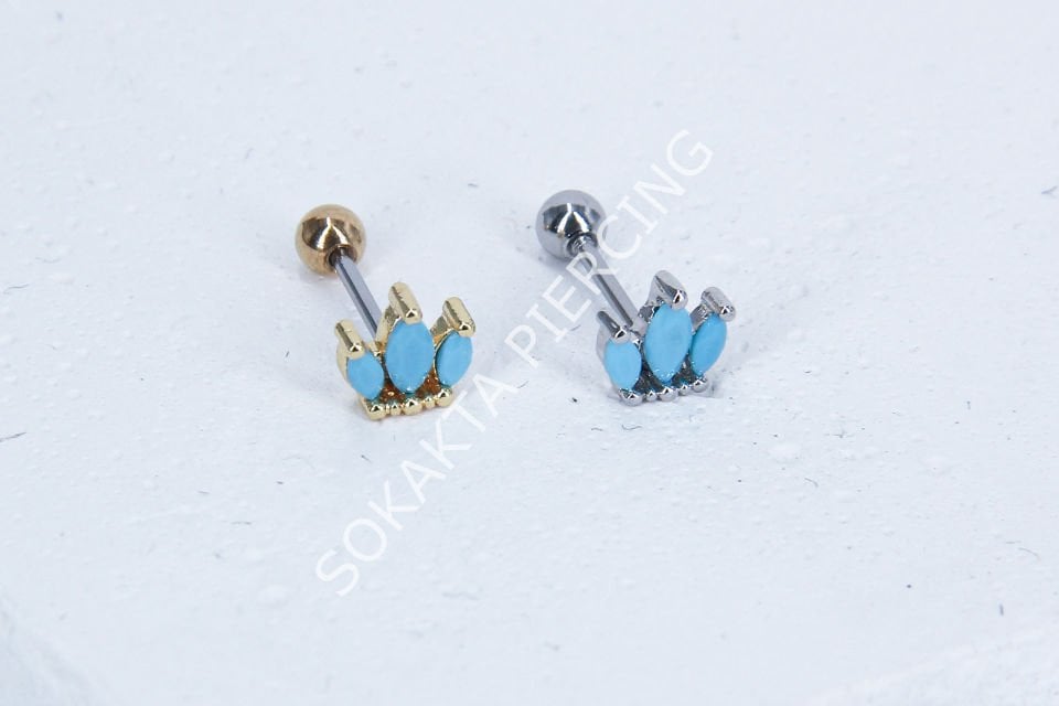 B33 - TRAGUS