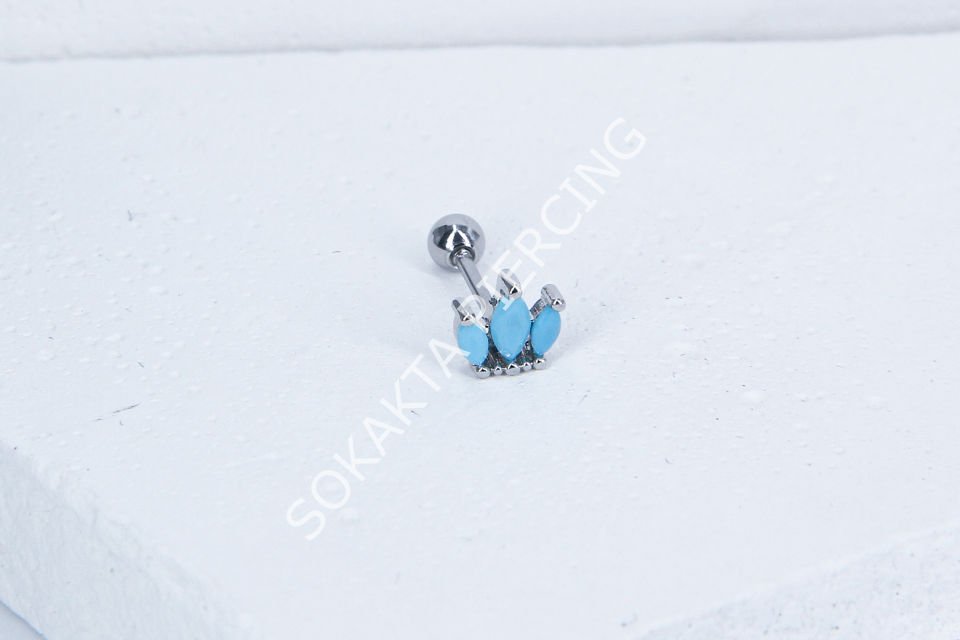 B33 - TRAGUS