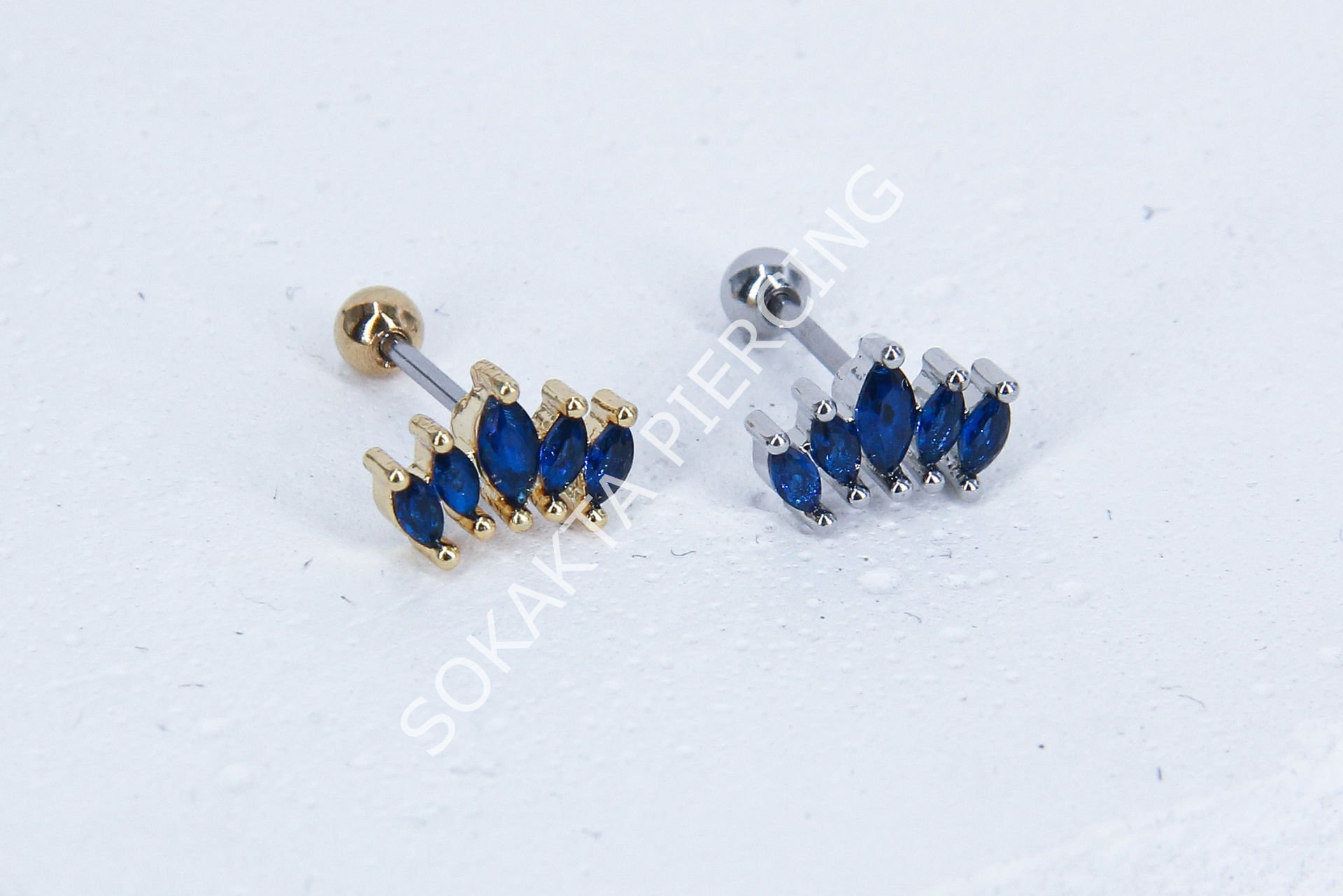 B19 - TRAGUS