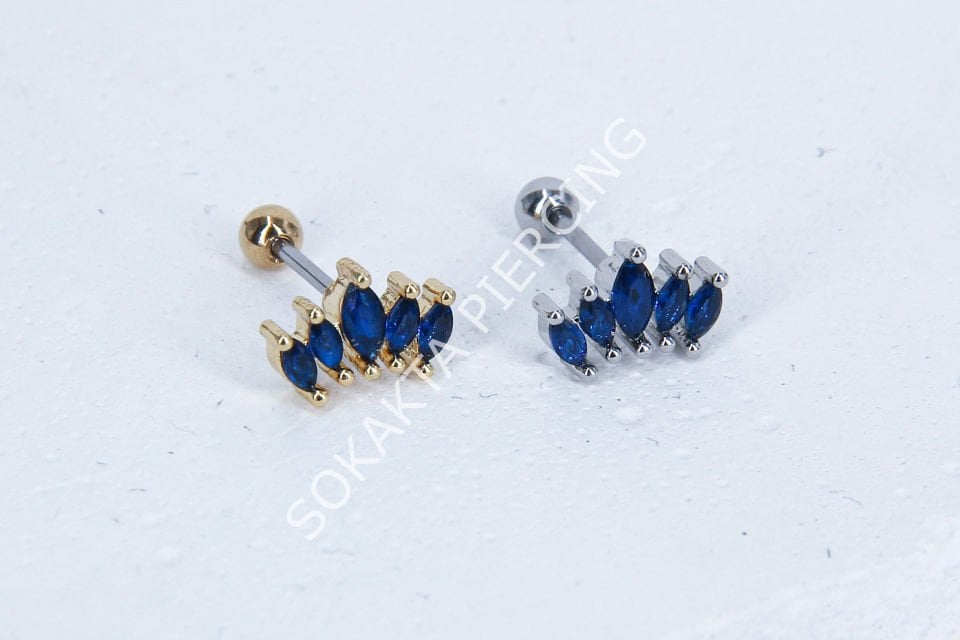 B19 - TRAGUS