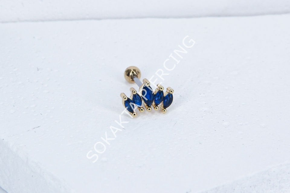 B19 - TRAGUS