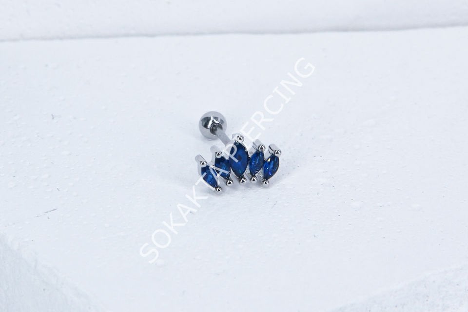 B19 - TRAGUS