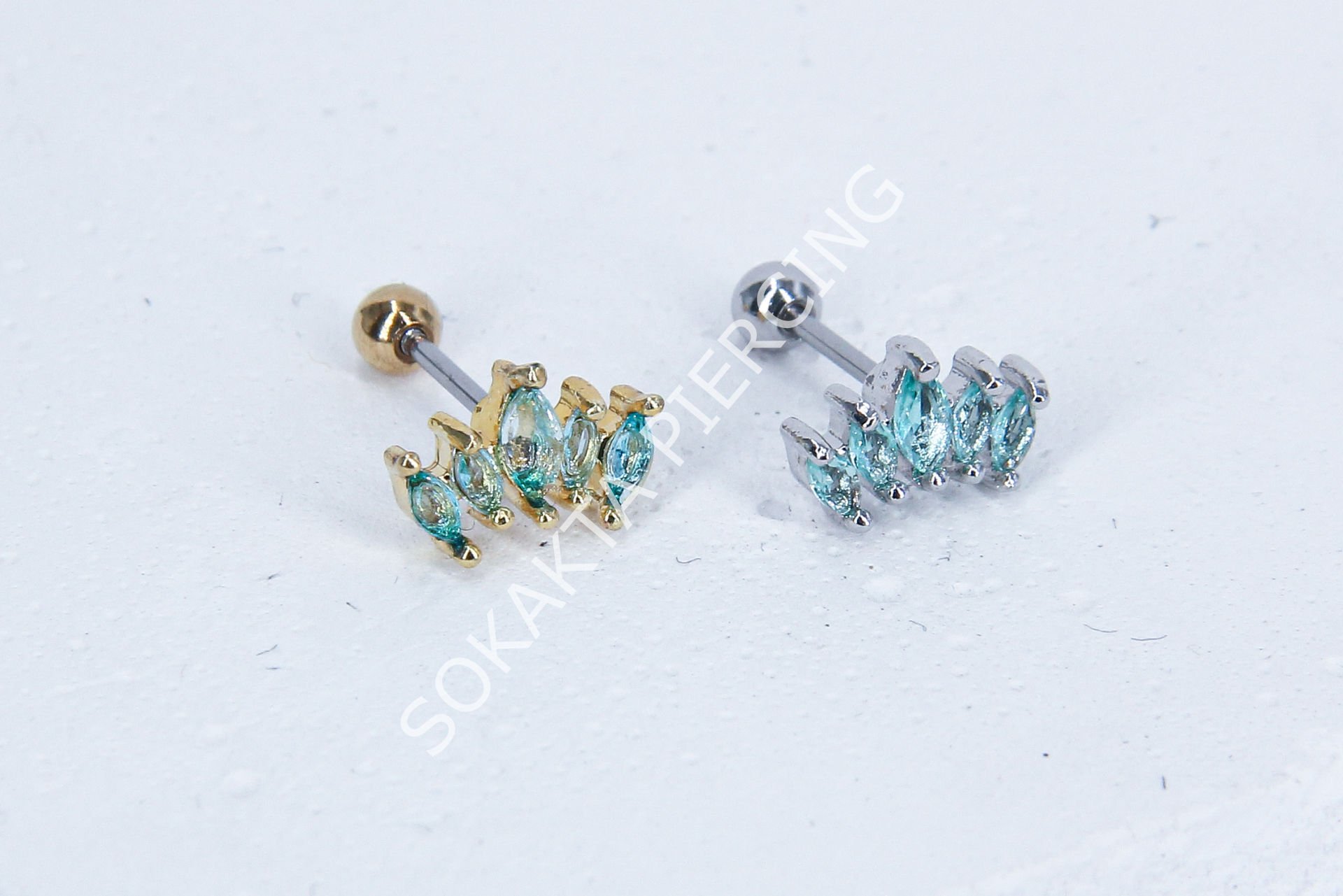 B14 - TRAGUS