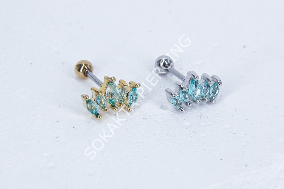 B14 - TRAGUS
