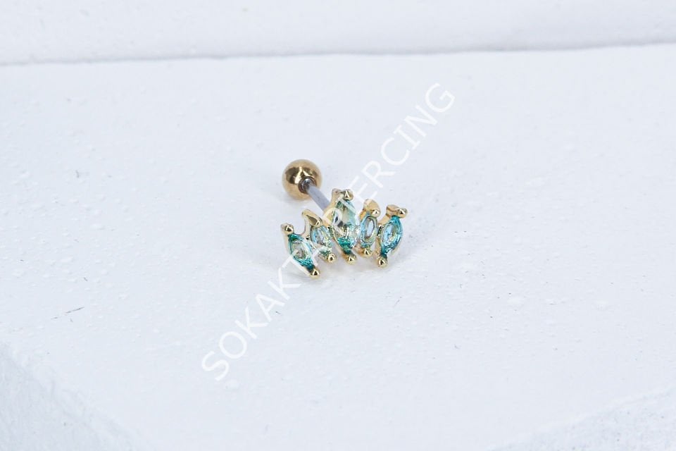 B14 - TRAGUS
