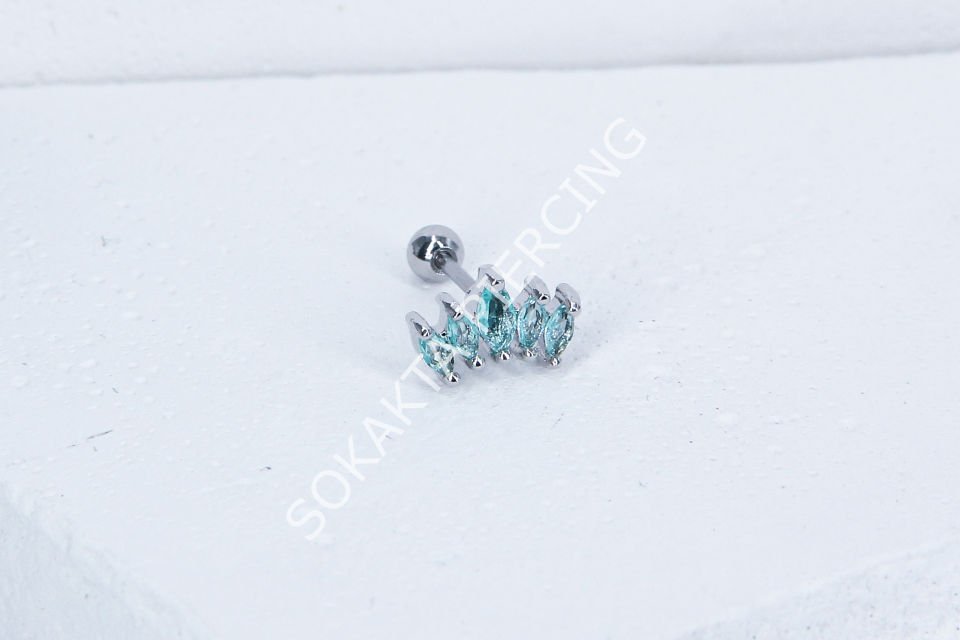 B14 - TRAGUS