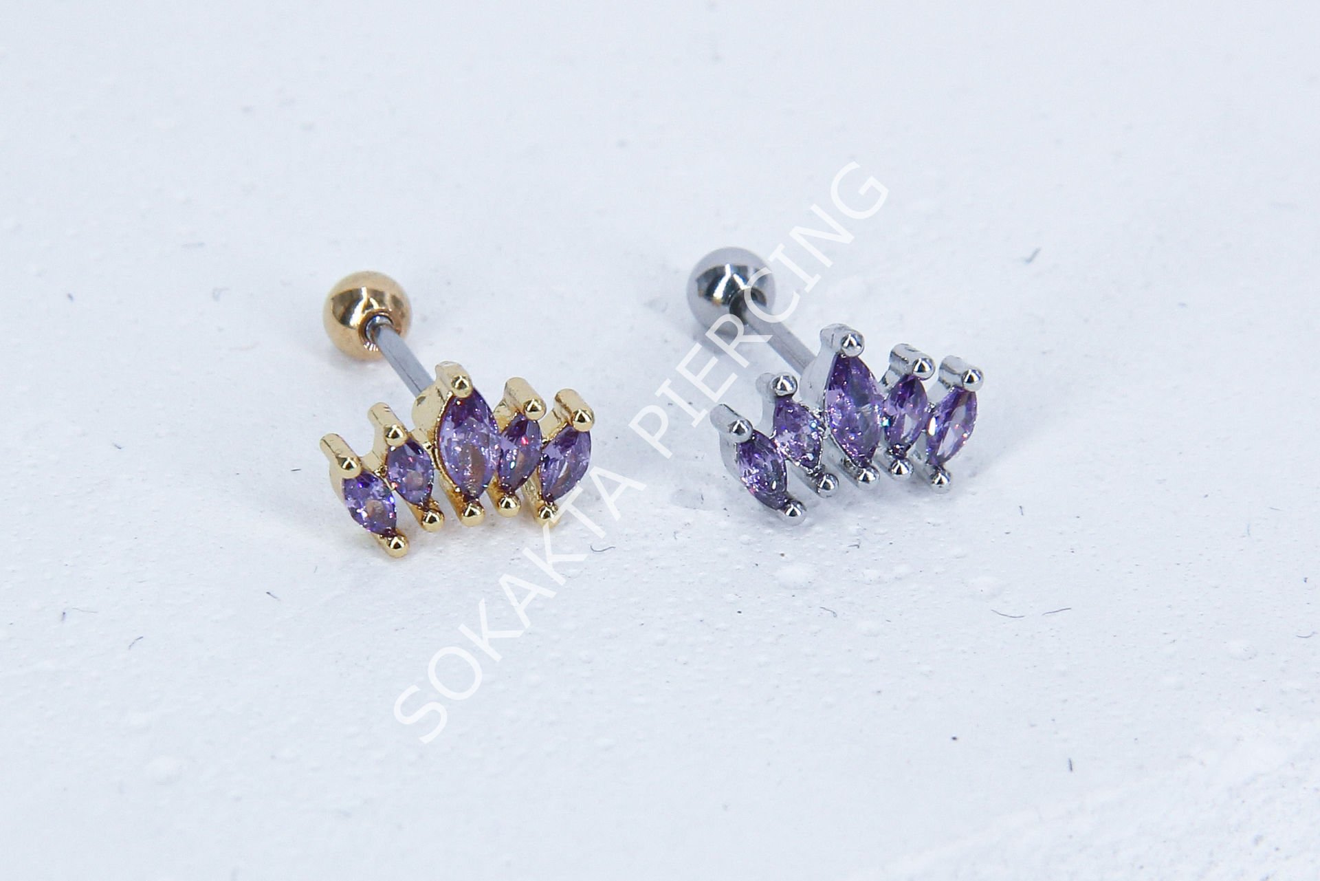 B16 - TRAGUS