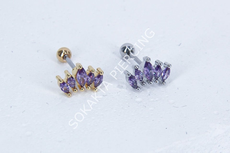 B16 - TRAGUS