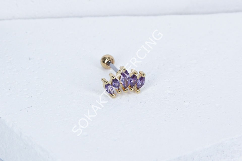 B16 - TRAGUS