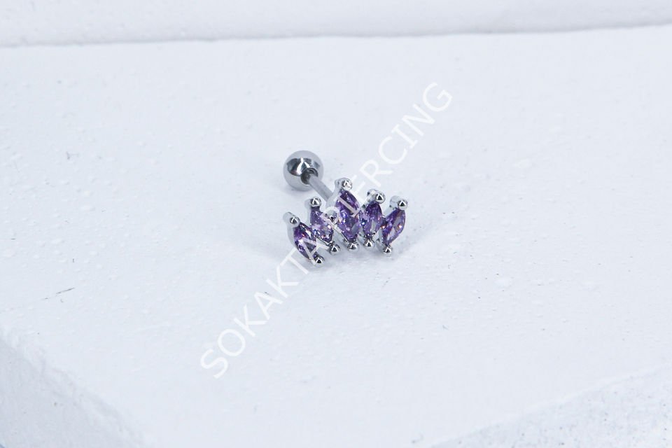 B16 - TRAGUS