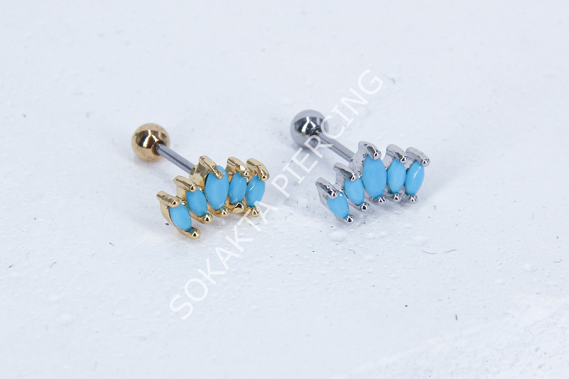 B13 - TRAGUS