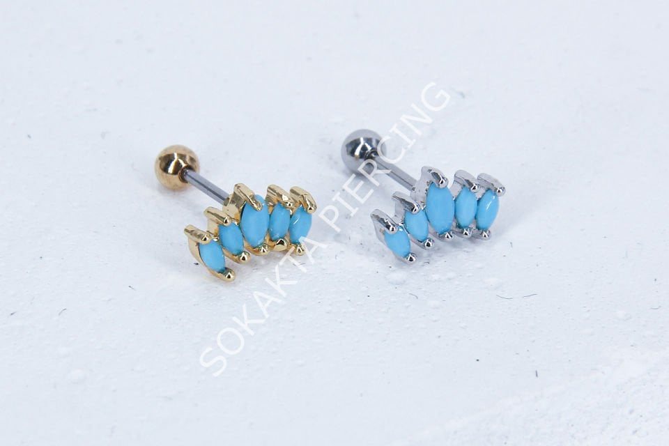 B13 - TRAGUS