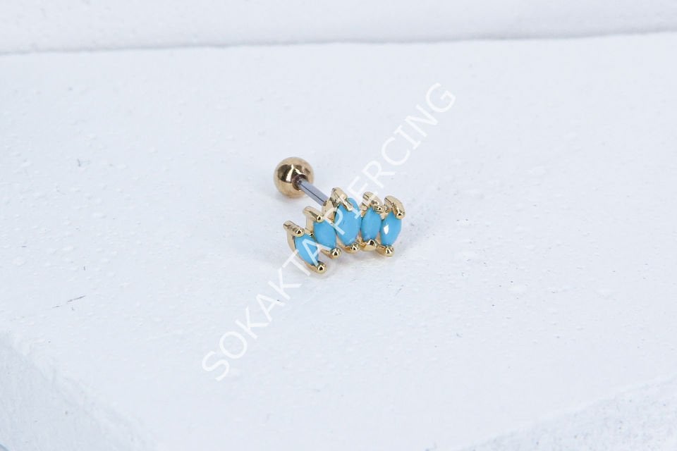 B13 - TRAGUS