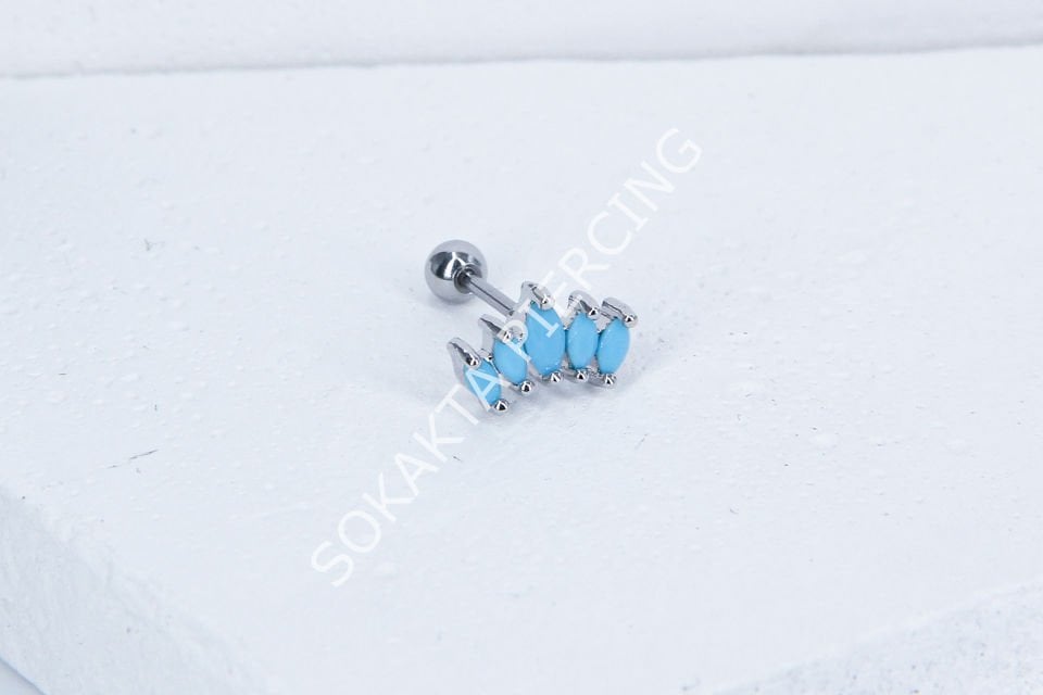 B13 - TRAGUS