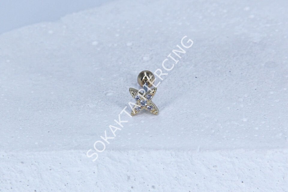A95 - TRAGUS