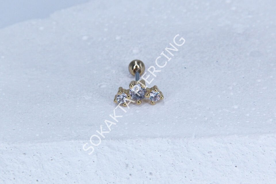 B77 - TRAGUS Silver