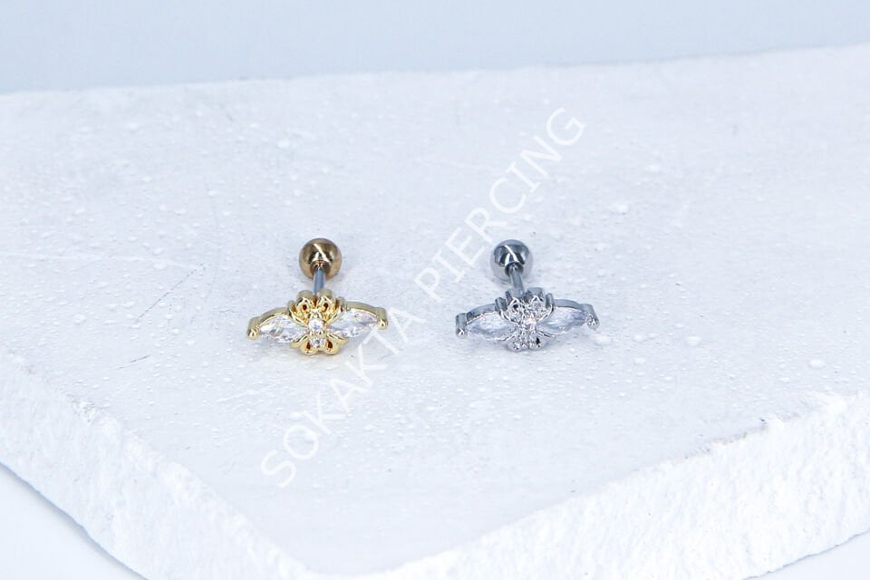 B41-  TRAGUS Silver