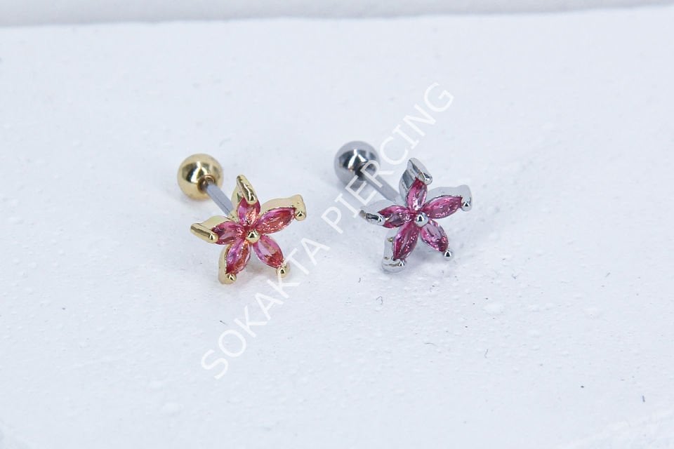 B30 - TRAGUS
