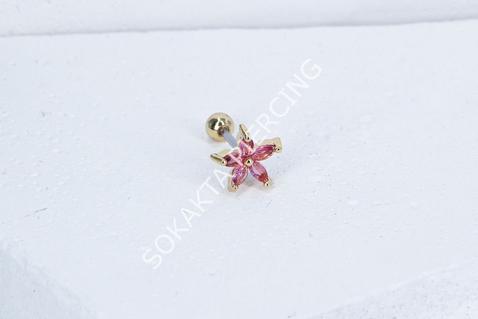 B30 - TRAGUS