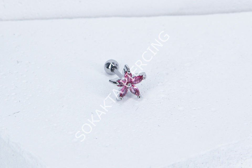 B30 - TRAGUS