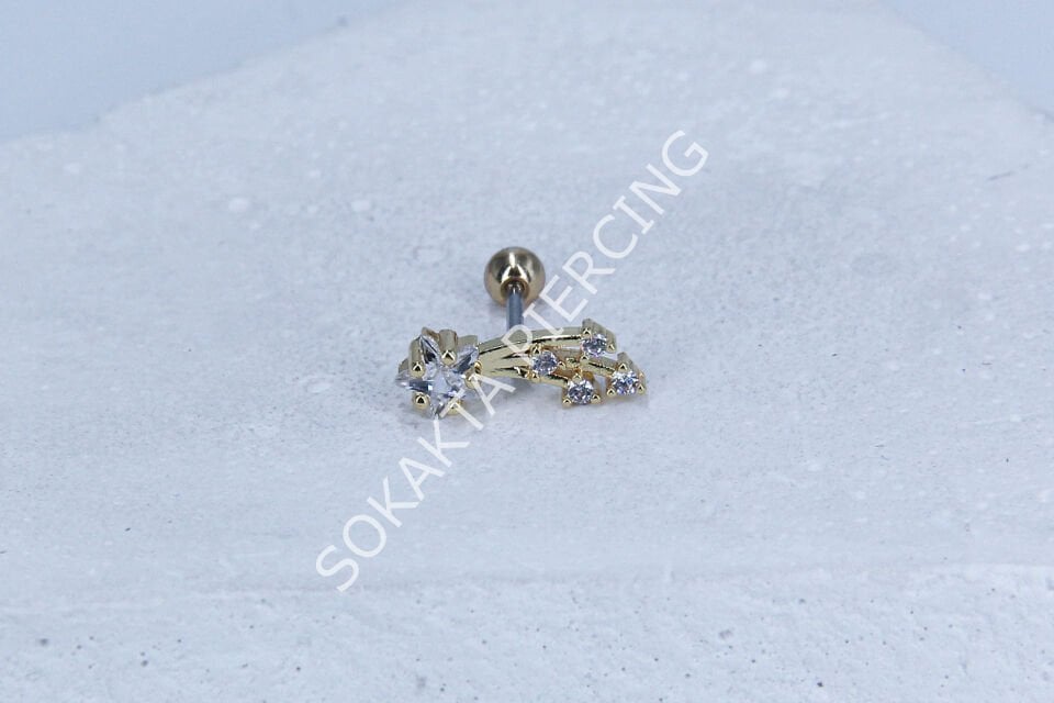 C20 - TRAGUS