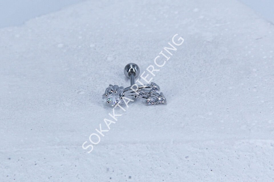 C20 - TRAGUS
