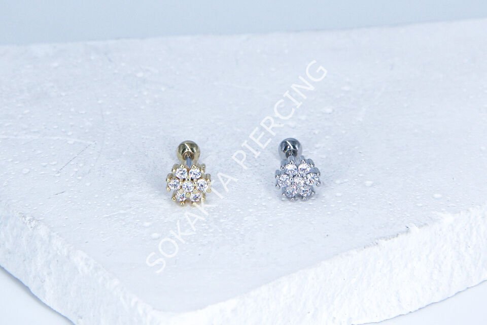 B85-  TRAGUS Silver