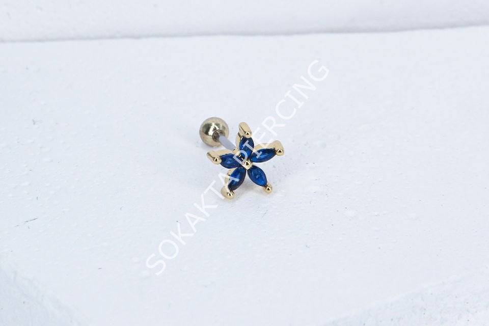 A100 - TRAGUS