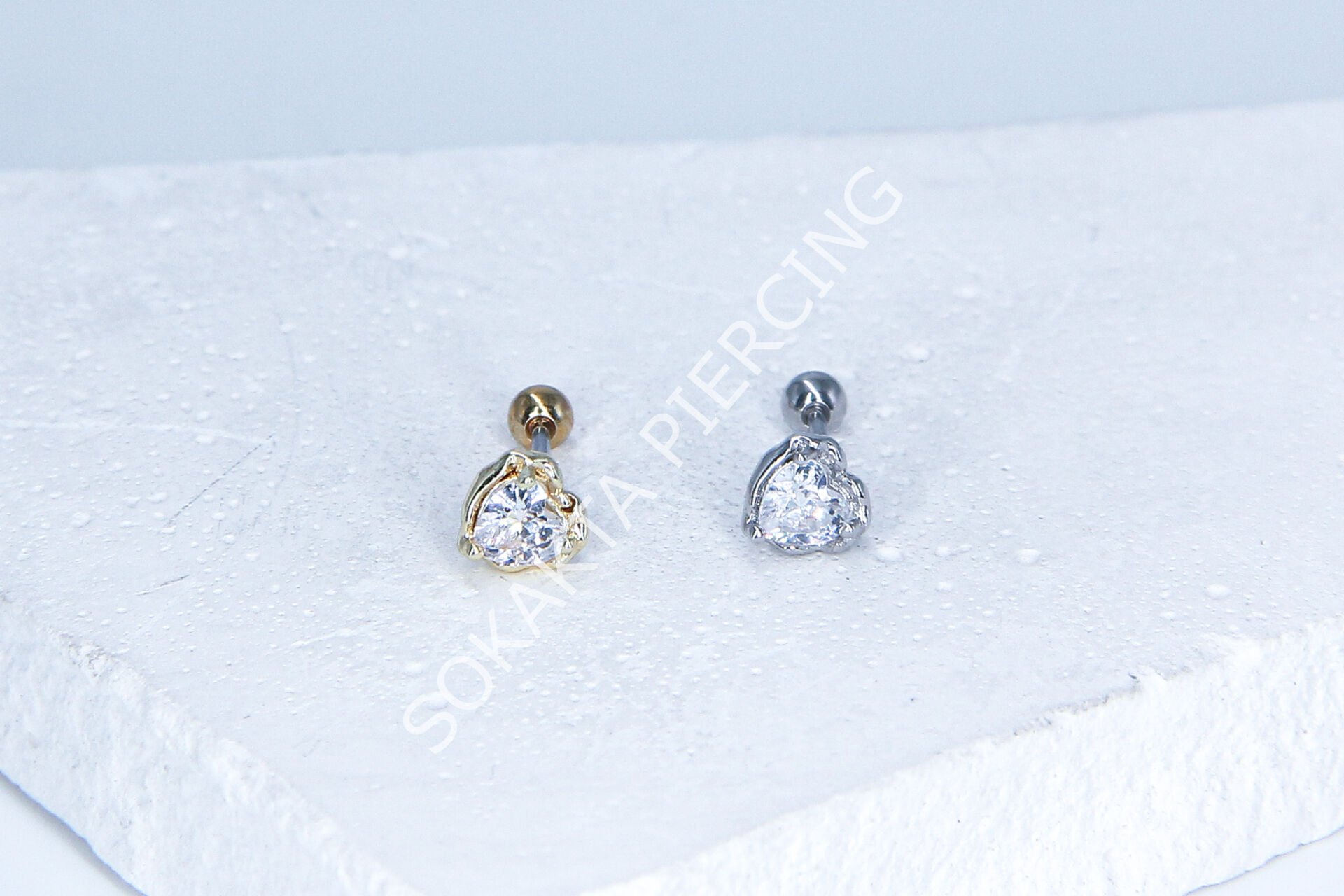 B63-  TRAGUS