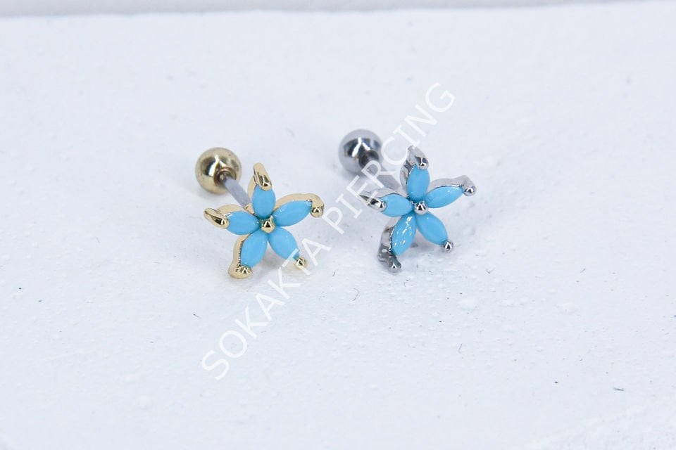 B29 - TRAGUS
