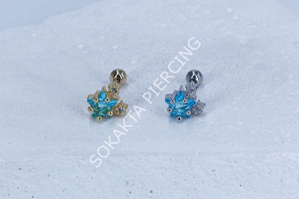 C15 - TRAGUS