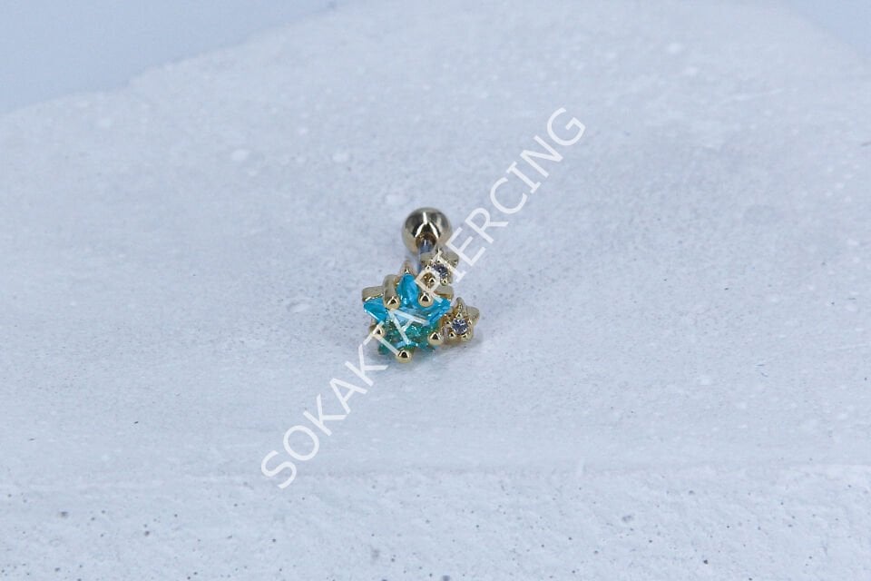 C15 - TRAGUS