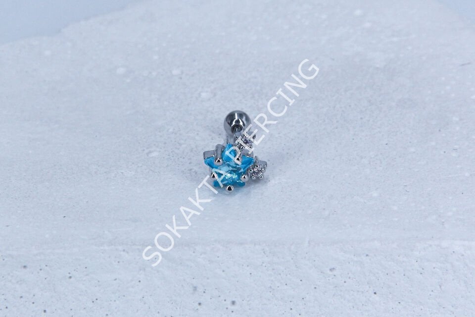 C15 - TRAGUS