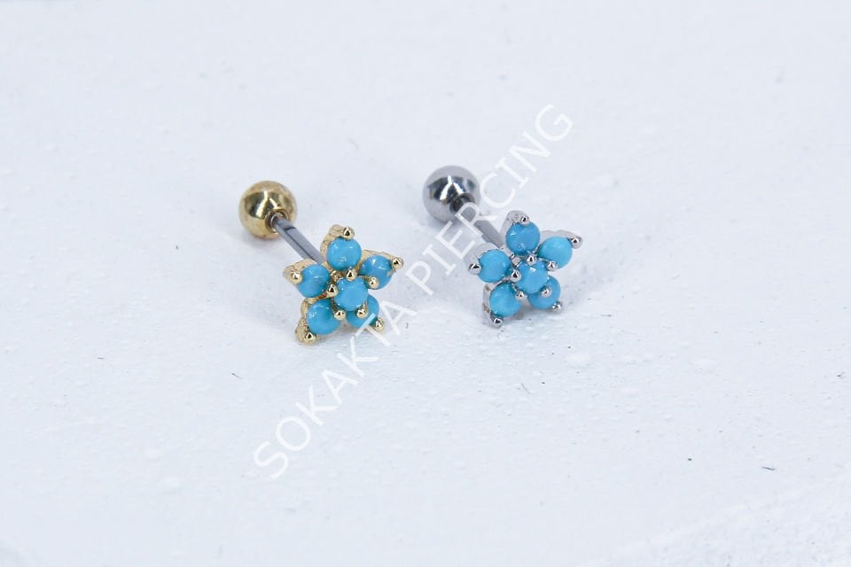 B41 - TRAGUS