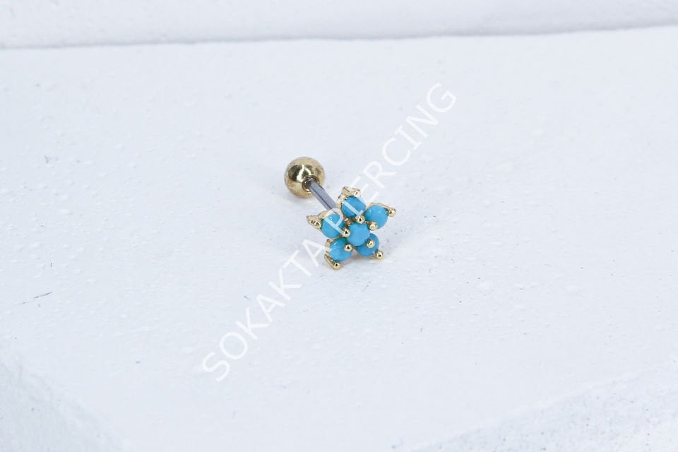 B41 - TRAGUS