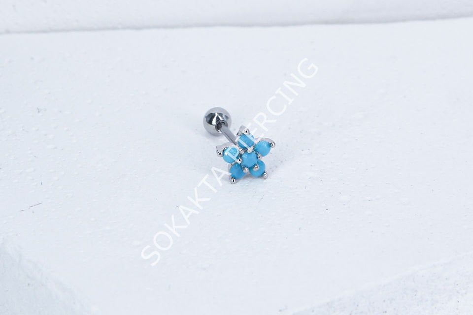 B41 - TRAGUS
