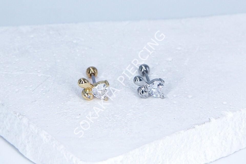 B87-  TRAGUS