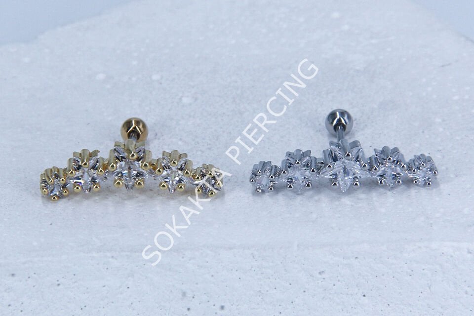 C21 -TRAGUS Silver