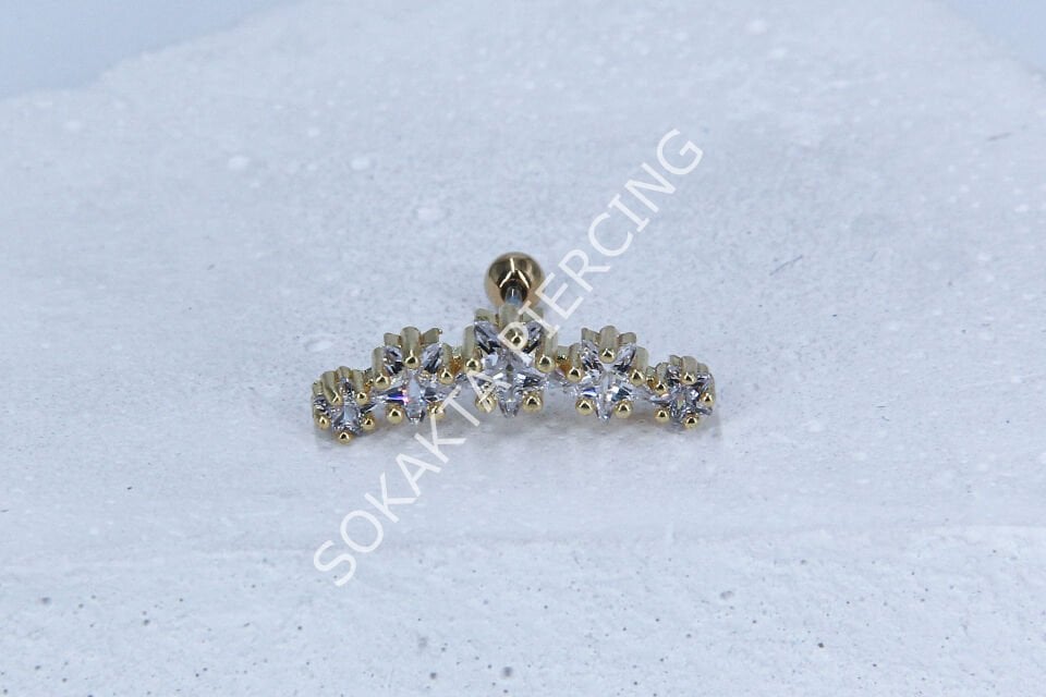 C21 -TRAGUS Silver