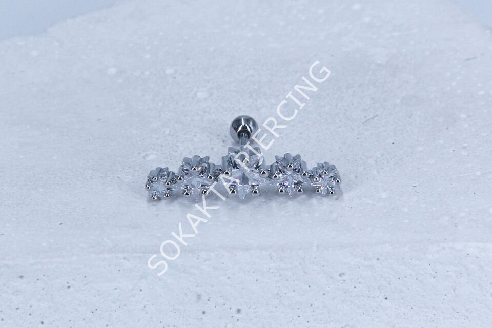 C21 -TRAGUS Silver