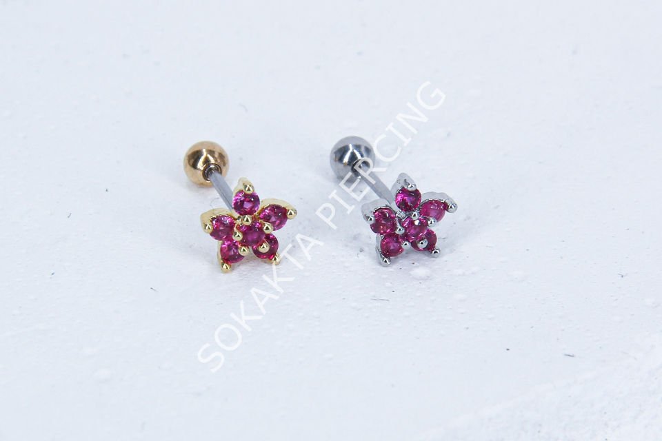B40 - TRAGUS