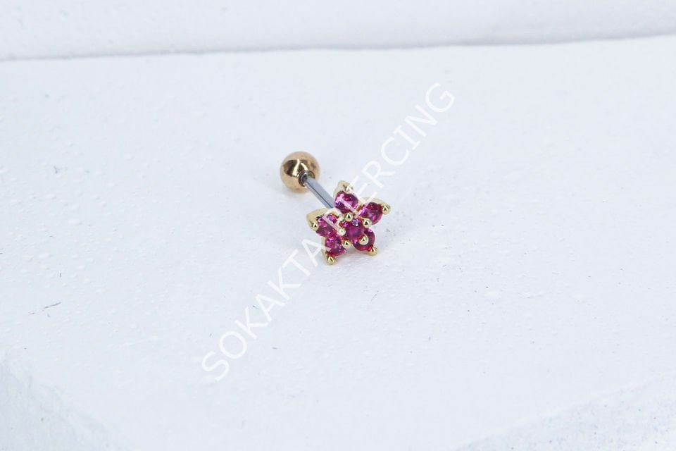 B40 - TRAGUS