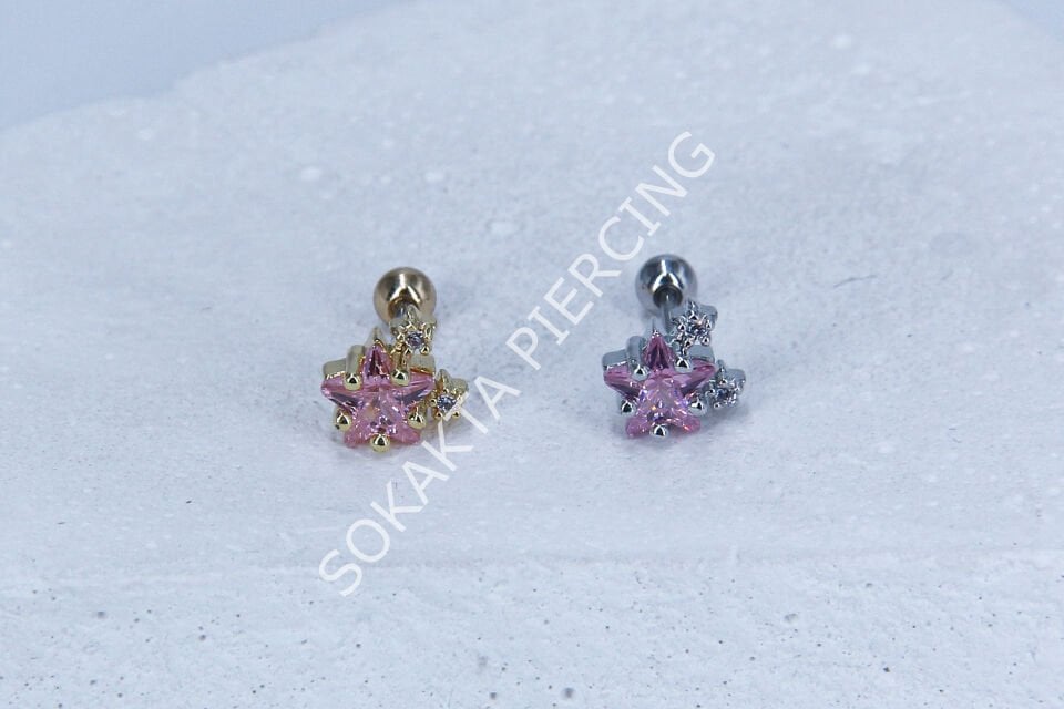 C16 - TRAGUS